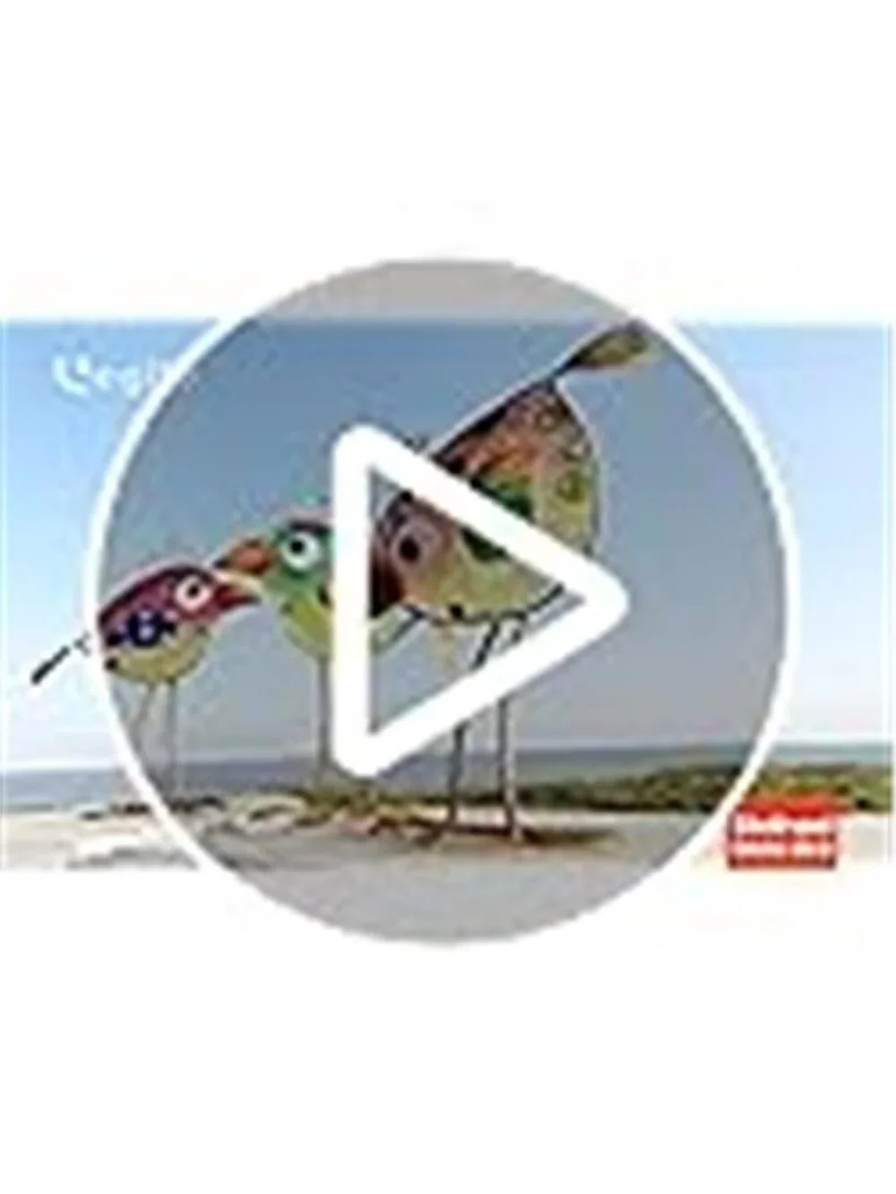 Garden Decor for Outside,Funny Metal & Glass Bird Decor for Indoor &